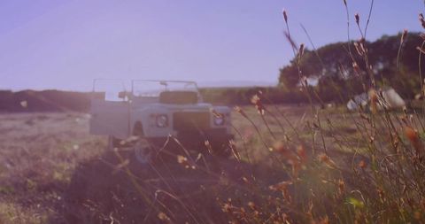 Rustic Exploration with White Open-Top 4x4 in Wildflower Meadow