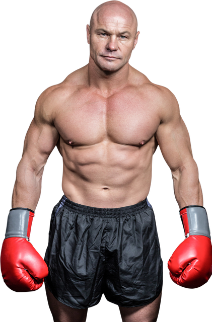 Bald Boxing Athlete Standing with Red Gloves in Transparent Background - Download Free Stock Videos Pikwizard.com