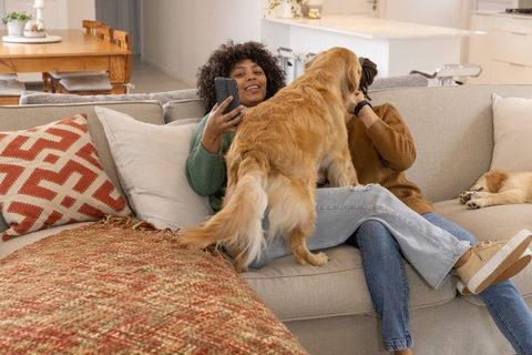 Diverse couple cuddling golden retriever while sharing smartphone on cozy living room sofa
