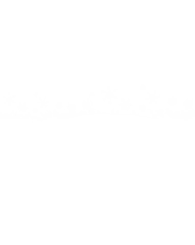 festive christmas snowflake border on transparent background - Download Free Stock Videos Pikwizard.com