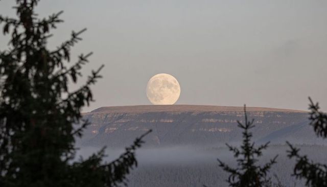 Full moon rising over flat-topped plateau with conifer silhouettes and morning mist