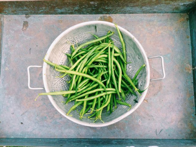 Fresh green beans in a metal colander placed on a rustic tray. Some simple, healthy cooking ingredient great for recipes, restaurant kitchens, and cooking blog posts.