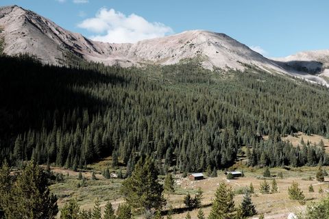 Serene Mountain Landscape with Pine Forest and Cabins