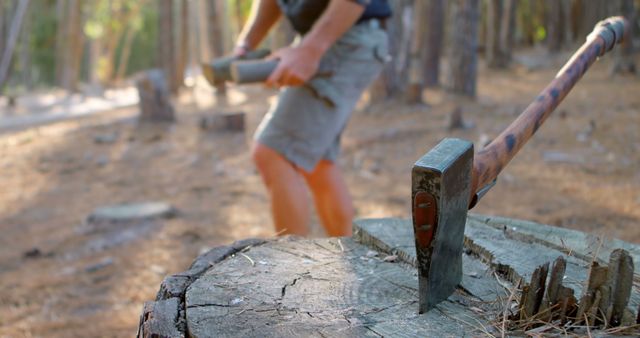 Chopping Wood in Sunny Forest Clearing - Download Free Stock Images Pikwizard.com