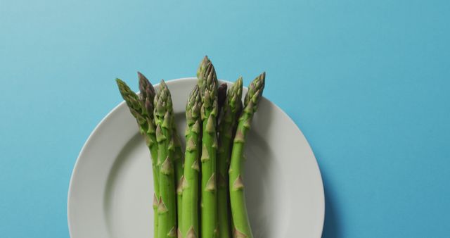Image of fresh asparagus on white plate over blue background. fusion food, fresh vegetables and healthy eating concept.