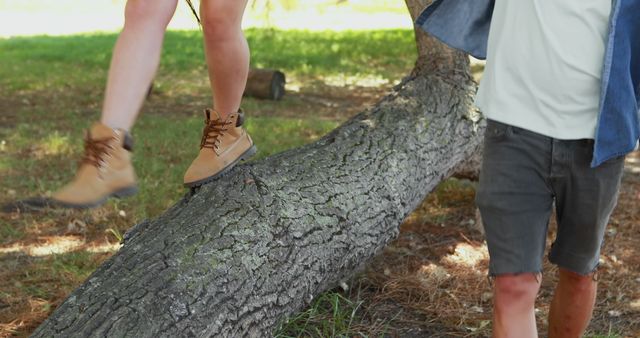 Teenagers balancing on fallen tree in park - Download Free Stock Images Pikwizard.com