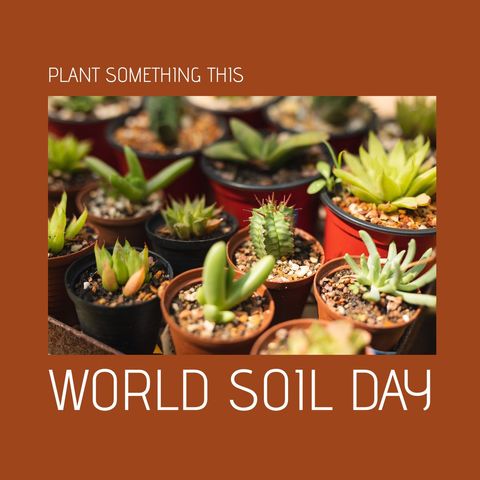 celebrate world soil day with colorful cacti collection - Download Free Stock Templates Pikwizard.com