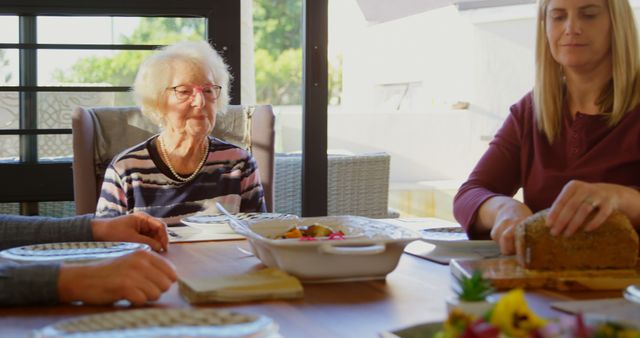 Family Gathering Around Dining Table with Elderly Woman - Download Free Stock Images Pikwizard.com