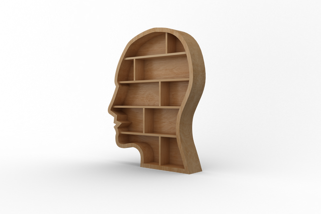 Transparent Wooden Head Shelves Illustration for Psychological Concepts - Download Free Stock Videos Pikwizard.com