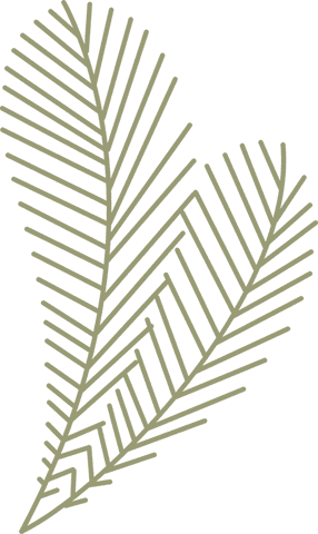 minimalist tropical palm fronds line art design transparent background - Download Free Stock Videos Pikwizard.com