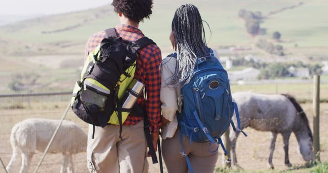 Couple with backpacks standing outdoors, gazing at farm animals in a rural setting. Represents outdoor adventure, exploration, and connection with nature. Suitable for promoting travel destinations, rural tourism, hiking gear, or couple's activities.