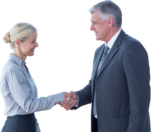 Transparent Caucasian Business Partners Shaking Hands - Download Free Stock Videos Pikwizard.com