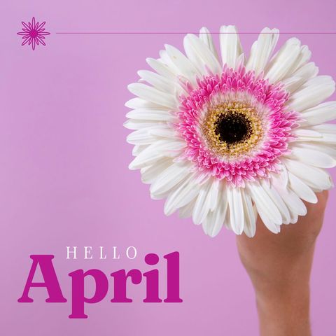 hello april floral greeting with pink flower on pastel background - Download Free Stock Templates Pikwizard.com