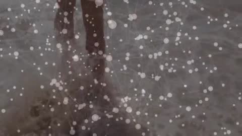 Serene Barefoot Walk Along the Shoreline for Summer Tranquility