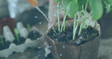 Innovative Digital Agriculture: Nurturing Seedlings in Sustainable Practices