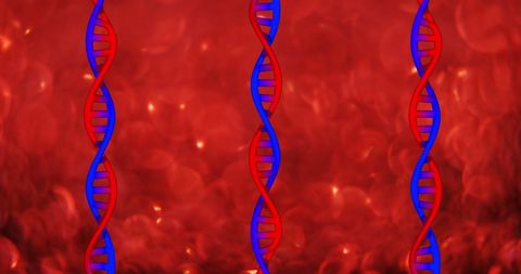 Abstract DNA Strands on Vibrant Red Background
