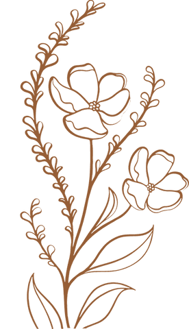 botanical minimalism line art flowering plant transparent background - Download Free Stock Videos Pikwizard.com