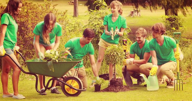 Volunteers Planting Trees and Gardening in Park - Download Free Stock Images Pikwizard.com