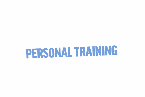 personal training text on transparent background isolated vector - Download Free Stock Videos Pikwizard.com
