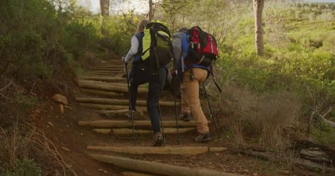 Senior Couple Hiking in Forest with Backpacks and Hiking Poles - Download Free Stock Images Pikwizard.com