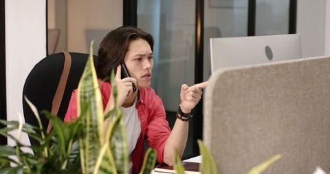 Professional man on call and using computer in green office space