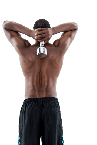 Powerful transparent shot of fit man lifting dumbbell
