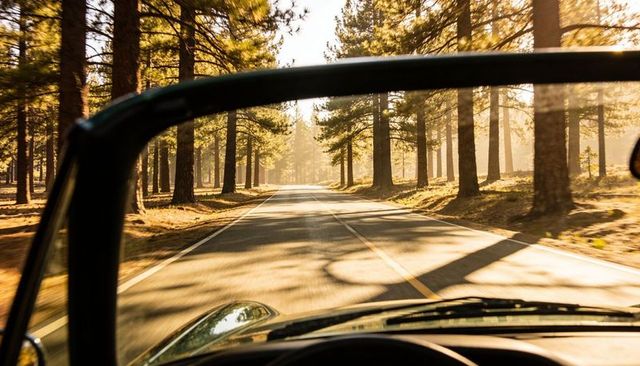 Driving convertible through sunlit pine forest on empty two-lane road at golden hour