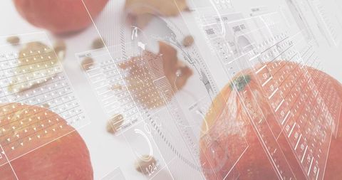 Orange resting with hud analytics overlays, macro citrus still life for tech concept