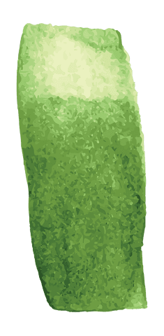 Abstract Green Geometric Brushstroke on Transparent Background - Download Free Stock Videos Pikwizard.com