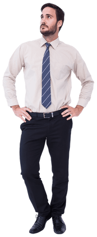 Confident Businessman Standing with Hands on Hips Transparent Background - Download Free Stock Videos Pikwizard.com