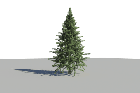 Digital Christmas Tree Illustration on Transparent Background - Download Free Stock Videos Pikwizard.com