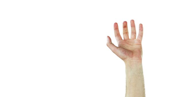 Hand Raised Isolated on White Background - Download Free Stock Images Pikwizard.com