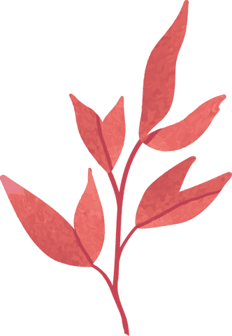 Vibrant Red-Pink Watercolor Botanical Branch on Transparent Background