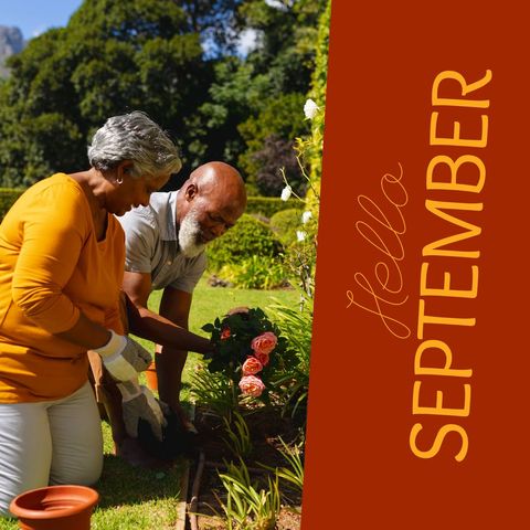 Mature couple gardening with september greeting, embracing autumn season