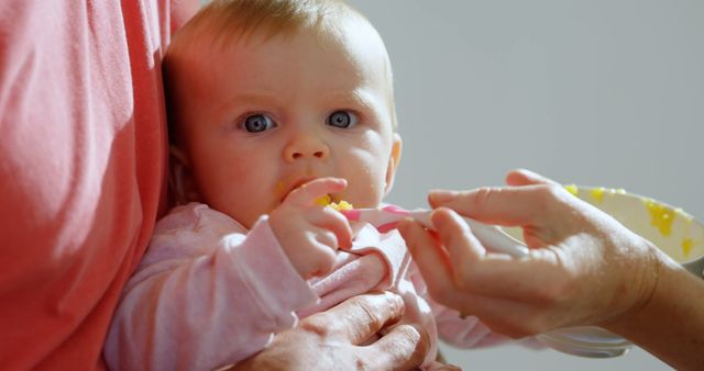 Baby Eating Solid Food for the First Time - Download Free Stock Images Pikwizard.com