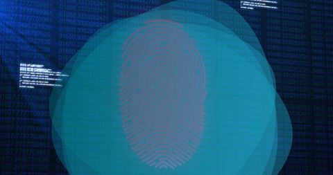 Cybersecurity Visualization with Fingerprint and Binary Code - Download Free Stock Images Pikwizard.com