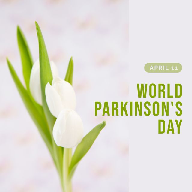 White Tulips Symbolizing World Parkinson's Day Awareness - Download Free Stock Templates Pikwizard.com