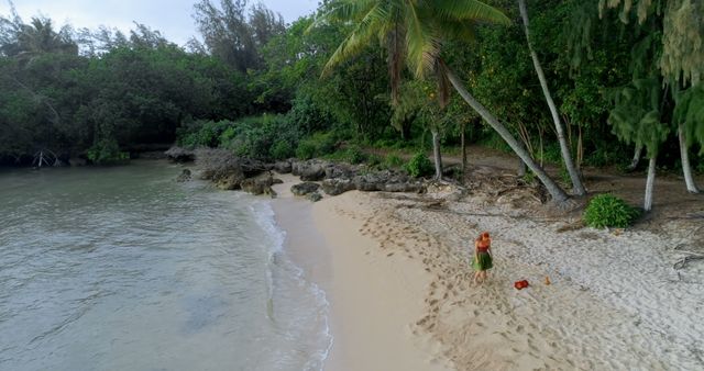 A person stands alone on a remote beach surrounded by tropical trees and soft sand, creating a peaceful and tranquil setting perfect for themes of solitude, nature, relaxation, holiday and escape. This scenery is ideal for travel websites, vacation advertisements, relaxation and wellness content.