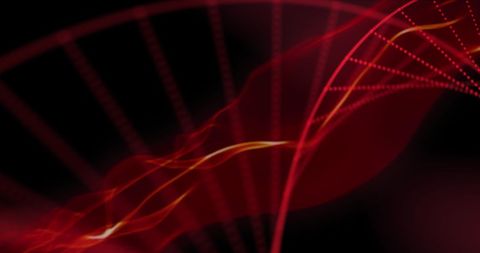 Futuristic red particle waves on abstract dark background