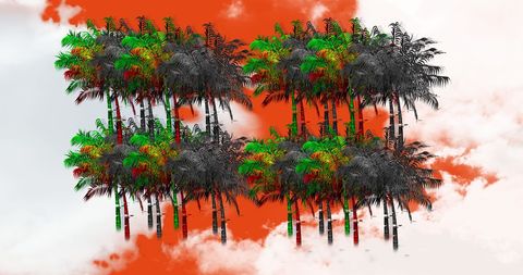 Colorful distorted palm trees with bright orange sky