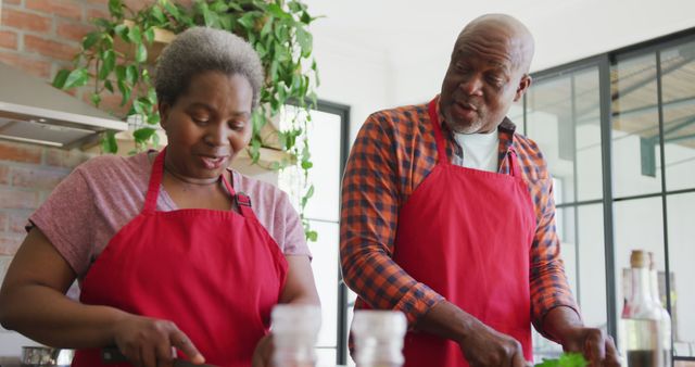 Senior Couple Cooking Together in Modern Kitchen with Red Aprons - Download Free Stock Images Pikwizard.com