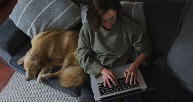 Smiling caucasian woman using laptop working from home with her pet dog on sofa next to her - Download Free Stock Photos Pikwizard.com