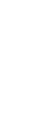Sportsman Raising Hands Silhouette on Transparent Background - Download Free Stock Videos Pikwizard.com
