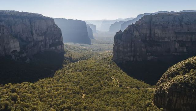 Sunlit canyon valley revealing towering sandstone cliffs, forested floor, winding trails