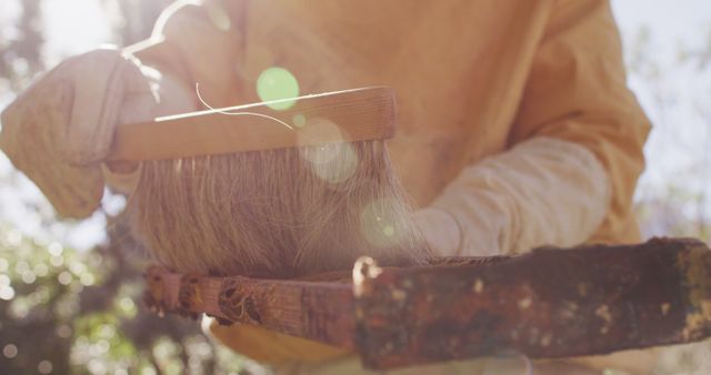 Beekeeper wearing protective clothing meticulously brushing bees from wooden frame under sunlit conditions, highlighting the gentle handling necessary for beekeeping. Useful for promoting beekeeping practices, educational content about apiaries, showcasing sustainable agriculture techniques, or illustrating the importance of pollinators.