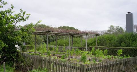 Fenced vegetable garden with raised beds, wooden pergola, ladder and chimney stack