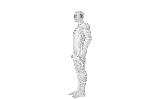 3d human model digital illustration on transparent background - Download Free Stock Videos Pikwizard.com