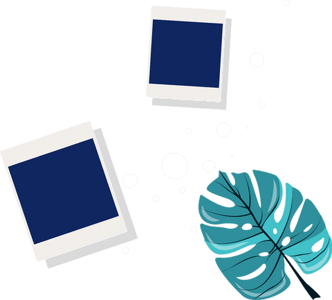 Floating film frames on transparent backdrop with teal monstera leaf
