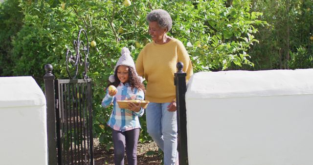 Image of happy african american granddaughter and grandmother collecting lemons in garden - Download Free Stock Photos Pikwizard.com