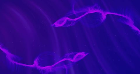 Futuristic Purple Light Trails on Deep Blue Background - Download Free Stock Images Pikwizard.com